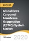 Global Extra Corporeal Membrane Oxygenation (ECMO) System Market 2019-2028 - Product Thumbnail Image