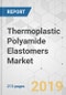 Thermoplastic Polyamide Elastomers Market - Global Industry Analysis, Size, Share, Growth, Trends, and Forecast, 2019-2027 - Product Thumbnail Image