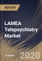 LAMEA Telepsychiatry Market by Product, by Application, by Age Group, by Country, Industry Analysis and Forecast, 2020 - 2026 - Product Thumbnail Image