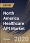 North America Healthcare API Market by Services, by End User, by Deployment, by Country, Industry Analysis and Forecast, 2020 - 2026 - Product Thumbnail Image