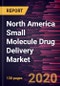 North America Small Molecule Drug Delivery Market Forecast to 2027 - COVID-19 Impact and Regional Analysis By Therapeutic Area; Process/Phase, and Country - Product Thumbnail Image