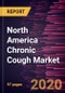 North America Chronic Cough Market Forecast to 2027 - COVID-19 Impact and Regional Analysis By Drug Class; Route of Administration; Distribution Channel; and Country - Product Thumbnail Image