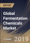 Global Fermentation Chemicals Market (2019-2025) - Product Thumbnail Image