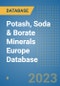 Potash, Soda & Borate Minerals Europe Database - Product Image