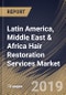 Latin America, Middle East & Africa Hair Restoration Services Market (2019-2025) - Product Thumbnail Image