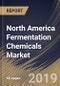 North America Fermentation Chemicals Market (2019-2025) - Product Thumbnail Image