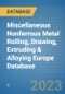 Miscellaneous Nonferrous Metal Rolling, Drawing, Extruding & Alloying Europe Database - Product Image