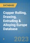 Copper Rolling, Drawing, Extruding & Alloying Europe Database - Product Image