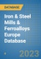 Iron & Steel Mills & Ferroalloys Europe Database - Product Image
