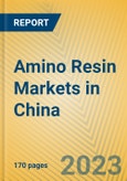 Amino Resin Markets in China- Product Image