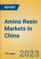 Amino Resin Markets in China - Product Image