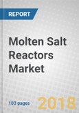 Molten Salt Reactors: Opportunity and Global Markets- Product Image