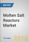 Molten Salt Reactors: Opportunity and Global Markets - Product Thumbnail Image