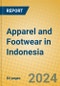 Apparel and Footwear in Indonesia - Product Image