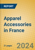 Apparel Accessories in France- Product Image