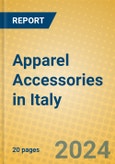 Apparel Accessories in Italy- Product Image