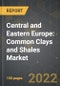 Central and Eastern Europe: Common Clays and Shales Market and the Impact of COVID-19 in the Medium Term - Product Image