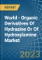 World - Organic Derivatives Of Hydrazine Or Of Hydroxylamine - Market Analysis, Forecast, Size, Trends and Insights - Product Image
