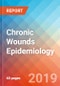 Chronic Wounds Epidemiology - 2028 (G8) - Product Thumbnail Image