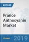 France Anthocyanin Market: Prospects, Trends Analysis, Market Size and Forecasts up to 2025 - Product Thumbnail Image