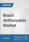Brazil Anthocyanin Market: Prospects, Trends Analysis, Market Size and Forecasts up to 2025 - Product Thumbnail Image