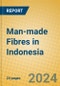 Man-made Fibres in Indonesia: ISIC 243 - Product Image