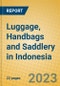 Luggage, Handbags and Saddlery in Indonesia: ISIC 1912 - Product Thumbnail Image