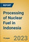 Processing of Nuclear Fuel in Indonesia: ISIC 233 - Product Thumbnail Image