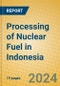 Processing of Nuclear Fuel in Indonesia: ISIC 233 - Product Thumbnail Image