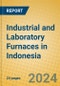 Industrial and Laboratory Furnaces in Indonesia - Product Image