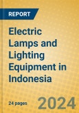 Electric Lamps and Lighting Equipment in Indonesia: ISIC 315- Product Image