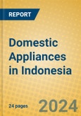 Domestic Appliances in Indonesia: ISIC 293- Product Image