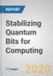 Stabilizing Quantum Bits for Computing - Product Thumbnail Image