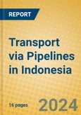 Transport via Pipelines in Indonesia: ISIC 603- Product Image