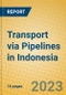 Transport via Pipelines in Indonesia: ISIC 603 - Product Image