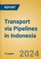 Transport via Pipelines in Indonesia: ISIC 603 - Product Image