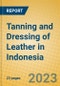 Tanning and Dressing of Leather in Indonesia: ISIC 1911 - Product Image