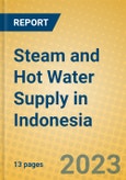 Steam and Hot Water Supply in Indonesia: ISIC 403- Product Image