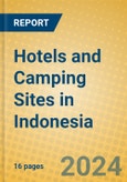 Hotels and Camping Sites in Indonesia: ISIC 551- Product Image