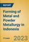 Forming of Metal and Powder Metallurgy in Indonesia: ISIC 2891 - Product Image