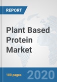 Plant Based Protein Market: Global Industry Analysis, Trends, Market Size, and Forecasts up to 2025- Product Image