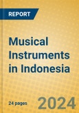 Musical Instruments in Indonesia: ISIC 3692- Product Image