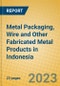 Metal Packaging, Wire and Other Fabricated Metal Products in Indonesia: ISIC 2899 - Product Image
