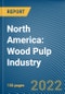 North America: Wood Pulp Industry - Product Image