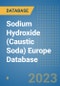 Sodium Hydroxide (Caustic Soda) Europe Database - Product Image