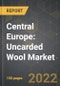 Central Europe: Uncarded Wool Market and the Impact of COVID-19 in the Medium Term - Product Image