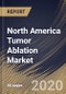 North America Tumor Ablation Market, by Treatment, by Technology, by Application, by Country, Industry Analysis and Forecast, 2019 - 2025 - Product Thumbnail Image