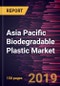 Asia Pacific Biodegradable Plastic Market to 2027 - Regional Analysis and Forecasts by Type, End User, and Countries - Product Thumbnail Image