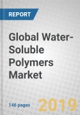 Global Water-Soluble Polymers Market- Product Image