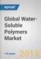 Global Water-Soluble Polymers Market - Product Thumbnail Image